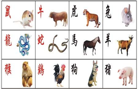 2021屬老鼠運(yùn)勢(shì)如何（屬老鼠運(yùn)勢(shì)視頻2020年）