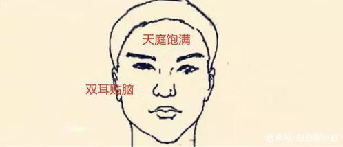 上相的人運勢如何（上相的人有福嗎）