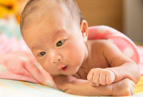 今日生寶寶運勢如何（今日出生的寶寶運勢怎么樣）