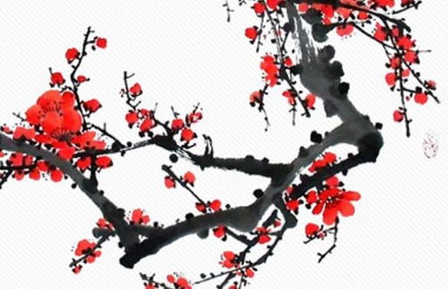 本年愛(ài)情運(yùn)勢(shì)如何看（2021的感情運(yùn)勢(shì)如何）