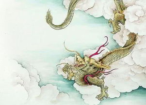 屬龍人的19年運(yùn)勢(shì)如何（屬龍人2019）