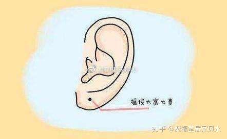 精靈耳的運(yùn)勢(shì)如何（精靈耳的人是不是好命）