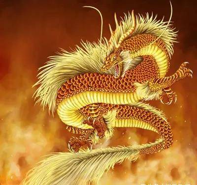 龍的運(yùn)勢如何2022（龍 運(yùn)勢）