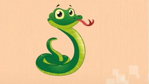 蛇年生肖運(yùn)勢(shì)如何（蛇年屬蛇的運(yùn)勢(shì)怎么樣）