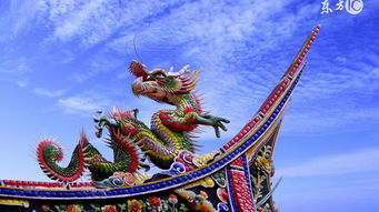 屬龍人明日運(yùn)勢如何（屬龍的明日運(yùn)）