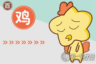 屬雞的家庭運(yùn)勢(shì)如何（屬雞2021年家庭）