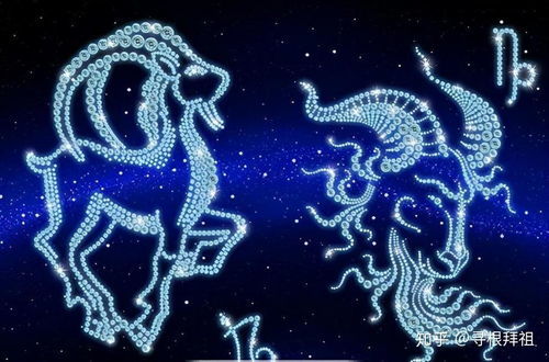 59年屬于什么星座,59年出生屬什么星座