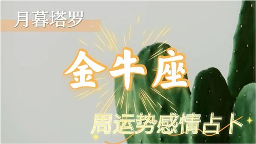 2025年感情運勢如何（2025年運勢及運程）