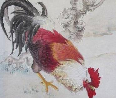 生肖雞感情運(yùn)勢(shì)如何（生肖雞的感情）