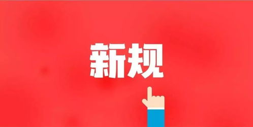 二百塊做什么項(xiàng)目賺錢(qián)呢,二百塊錢(qián)能做什么生意