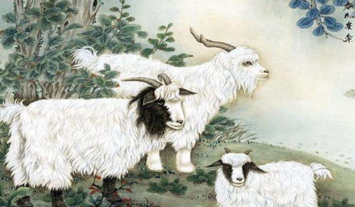 67羊今天運(yùn)勢(shì)如何（屬羊今天財(cái)運(yùn)1967）