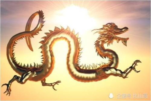 3屬龍運(yùn)勢(shì)如何（屬龍 運(yùn)勢(shì)）