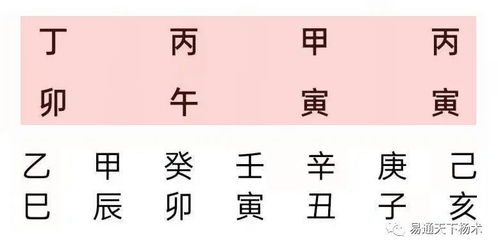 丁巳屬相壬寅年運勢如何（丁巳和壬寅合不合）
