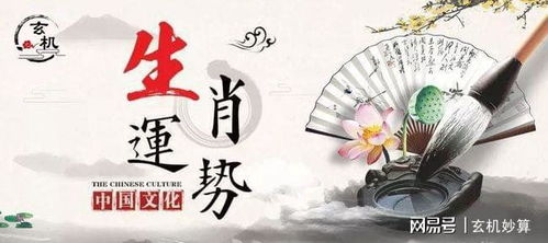 甲午日運勢如何（甲午日命運）