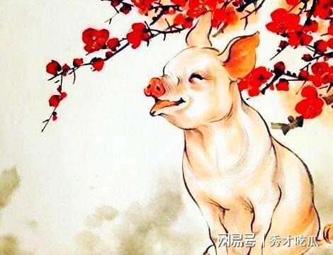 屬豬的人一生運勢如何（屬豬的人一生運勢如何呢）