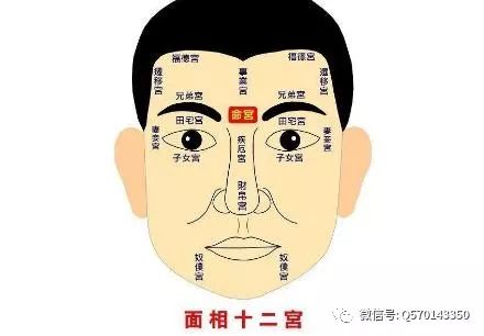 四十歲以后運勢如何（四十歲運程從面相什么地方開始）