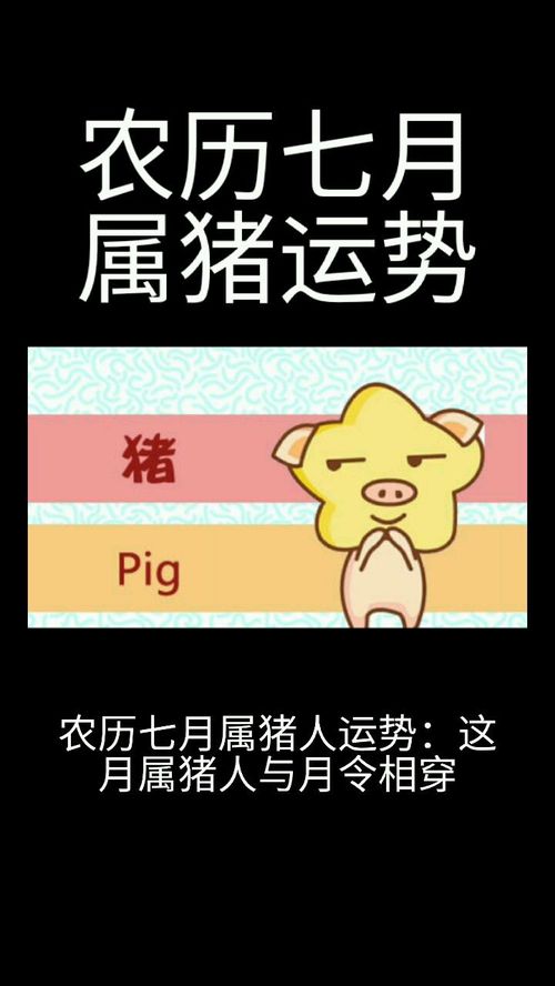7月的屬豬的運(yùn)勢(shì)如何（七月運(yùn)勢(shì)屬豬）