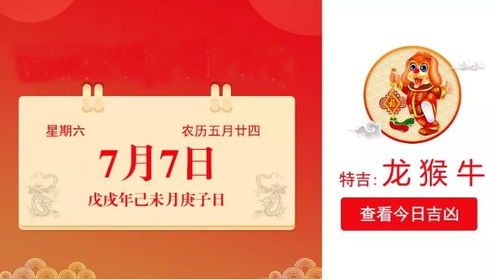 鼠猴人十一月運(yùn)勢(shì)如何（屬猴的人十一月運(yùn)氣如何）