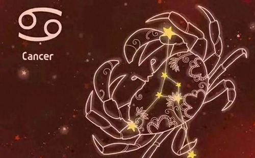 如何看星座事業(yè)運勢（星座看職業(yè)）