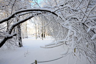 進(jìn)入大雪的運(yùn)勢如何（大雪如何旺運(yùn)）