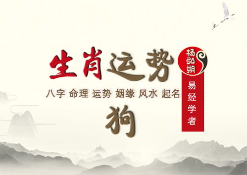 如何看自己每月運(yùn)勢(shì)（怎么看自己運(yùn)勢(shì)）