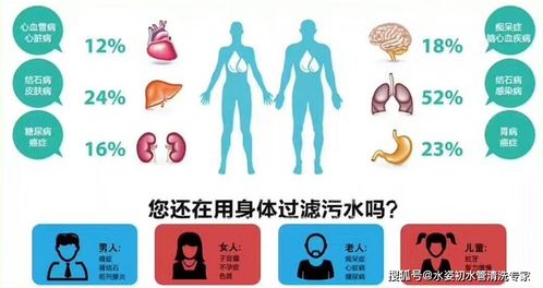 清潔做什么項目最好賺錢,做清潔有哪些項目