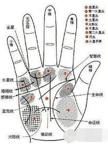 包含如何看學業(yè)運勢手紋的詞條