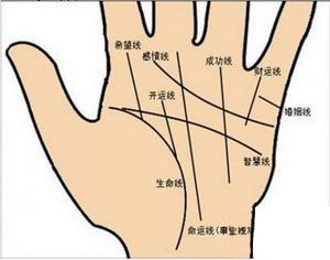 包含如何看學業(yè)運勢手紋的詞條