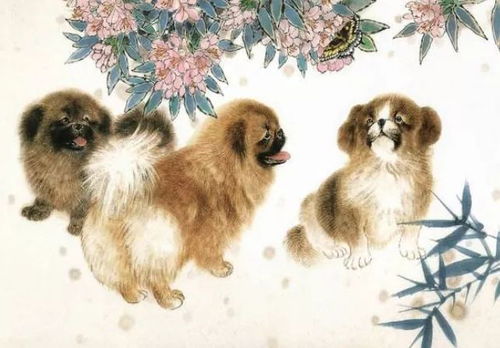 狗狗今年轉(zhuǎn)運(yùn)運(yùn)勢如何（狗今年運(yùn)氣財(cái)運(yùn)如何）