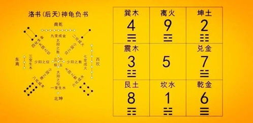 美國周易運(yùn)勢(shì)如何（美國易經(jīng)學(xué)會(huì)）