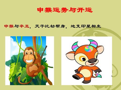 金猴的婚姻運(yùn)勢(shì)如何（金猴婚配）