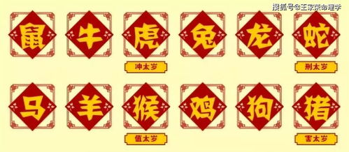 今日錦鯉運勢如何（今日運氣今日運勢今日運程）