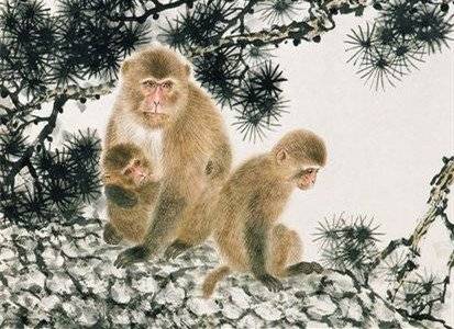 屬猴運(yùn)勢(shì)走勢(shì)如何（屬猴運(yùn)勢(shì)2021運(yùn)勢(shì)詳解）