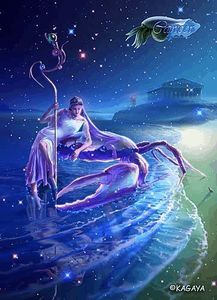 連接是什么星座,蓮是什么星座