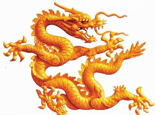 2023龍運(yùn)勢(shì)如何（2023龍的運(yùn)勢(shì)）