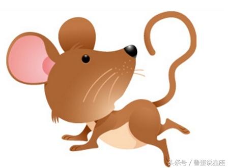 鼠年出生月份運勢如何（鼠年年月份出生命運最好）
