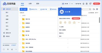 百度網(wǎng)盤怎么關(guān)閉指紋