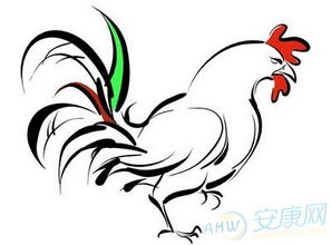屬雞每月的運勢如何（屬雞每月運勢水墨先生）