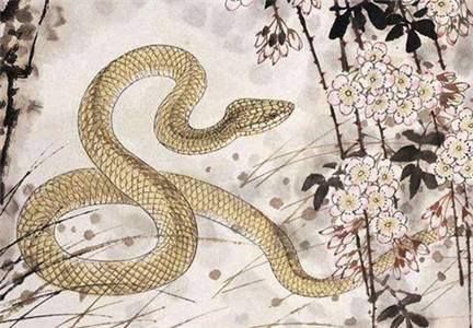 1954年蛇運(yùn)勢(shì)如何（54年屬蛇）
