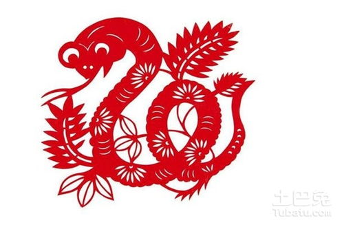 2017蛇年的運(yùn)勢(shì)如何（屬蛇2017年運(yùn)勢(shì)）