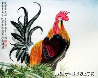 未來十年雞年運勢如何（未來十年雞年運勢如何呢）