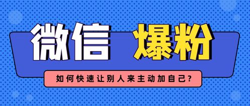 想要賺錢有什么好的項目,想掙錢有什么好項目
