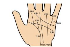 掌紋如何看運勢（怎么從掌紋看命運）