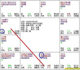 斗數(shù)如何看運(yùn)勢（斗數(shù)看財(cái)富）