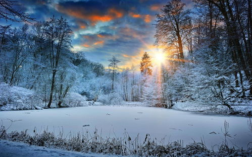 華為如何拍路燈下的雪人,華為手機(jī)如何拍夜晚雪景