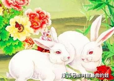兔子感情復(fù)合運(yùn)勢(shì)如何（兔子的愛(ài)情今年好不好）