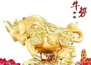 牛人運(yùn)勢(shì)明年運(yùn)勢(shì)如何呢（明年牛的運(yùn)勢(shì)）