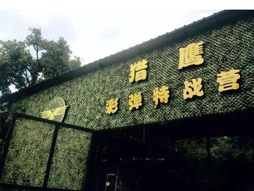 團建室外游戲有哪些,團建室外游戲有哪些名字