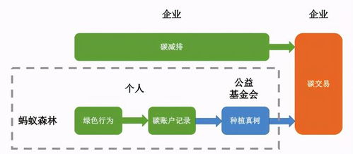 封城有什么賺錢的項目,封城了做什么生意好