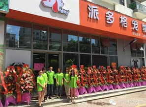 寵物店加什么項目賺錢,寵物店主要靠什么賺錢